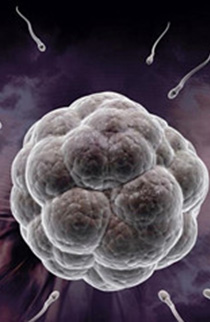 C套餐 三代试管婴儿单次 15万